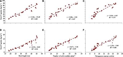 Impact on plant productivity under low-fertility sandy soil in arid environment by revitalization of lentil roots